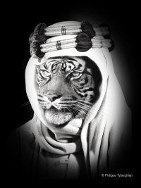 Lawrence of arabia