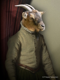 My renaissance goat