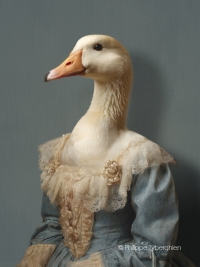 Le cygne
