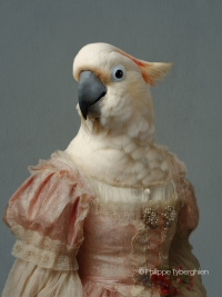 Le perroquet rose
