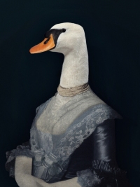 La cocotte