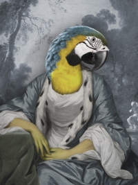 Parrot