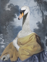 Lady Swan