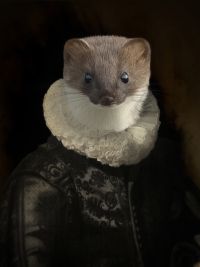 Jeff de Brugges
