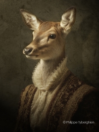 Collection "Ma biche" - Claude