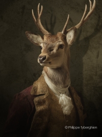 Collection "Ma biche" - Edouard