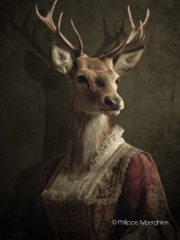 Collection "Ma biche" - Hélène