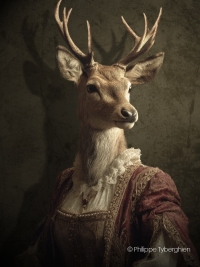 Collection "Ma biche" - Regina