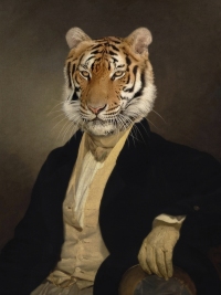 Dandy