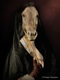 Lady horse