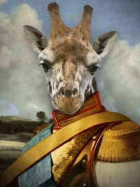 Giraffe in uniform