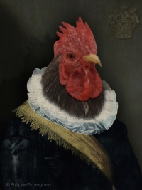 Le coq hardi