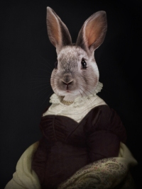 Madame de Solignac