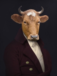 Monsieur de Solignac