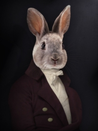 Monsieur de Solignac