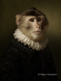 Le macaque