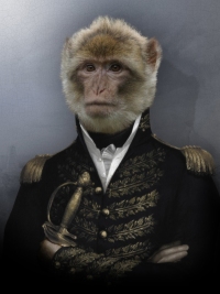 Harisson