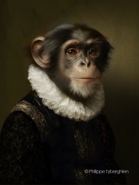 Le bonobo