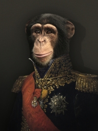 Le maréchal