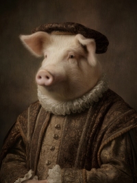 The tudor collection - le cochon