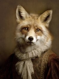 The tudor collection - le renard