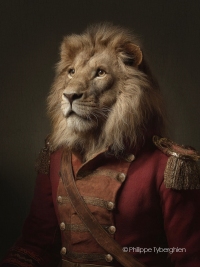 Le lion - collection "Wild life"