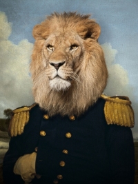Le lion