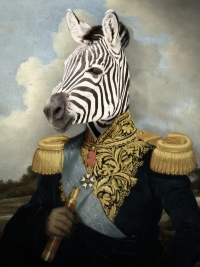 Le zèbre