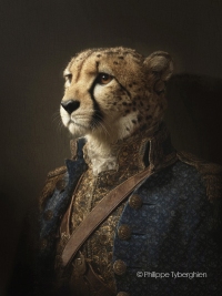 Le guépard - collection "Wild life"