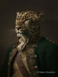 Le jaguar - collection "Wild life"